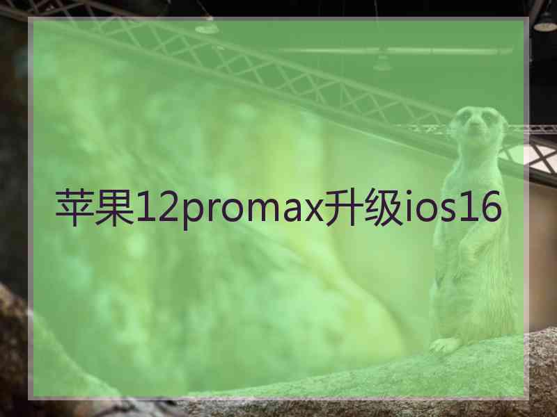 苹果12promax升级ios16