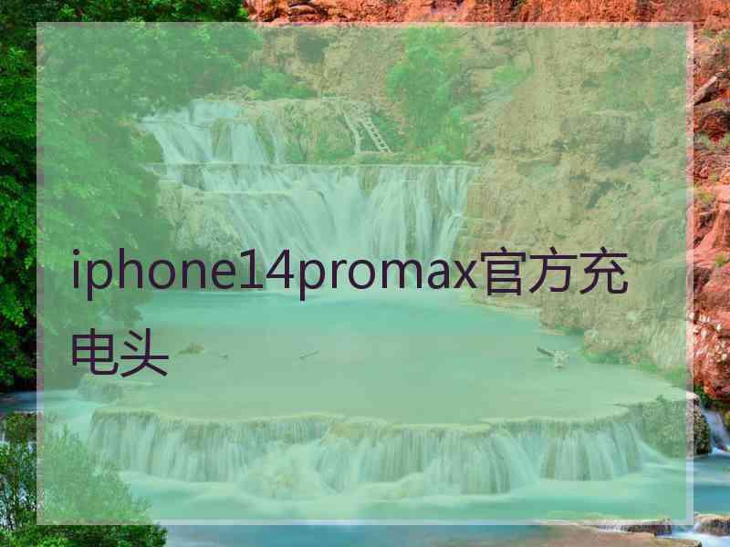 iphone14promax官方充电头