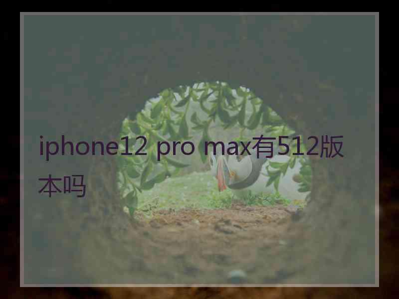 iphone12 pro max有512版本吗