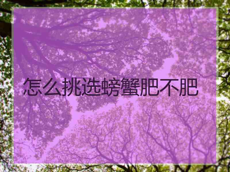 怎么挑选螃蟹肥不肥