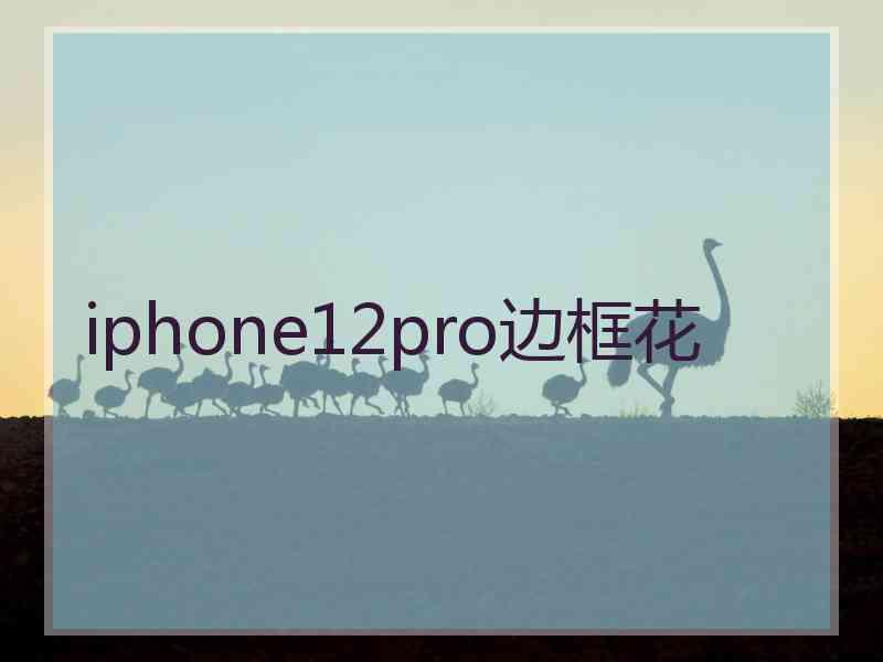 iphone12pro边框花