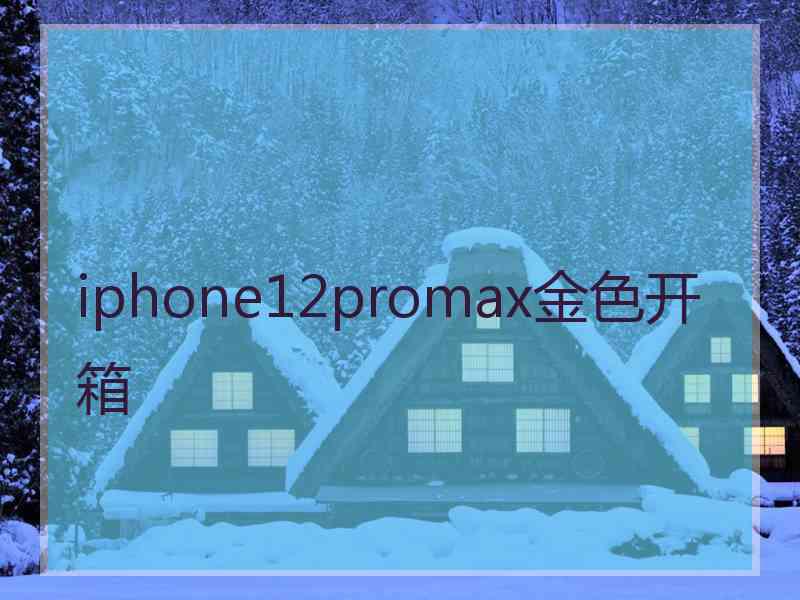 iphone12promax金色开箱