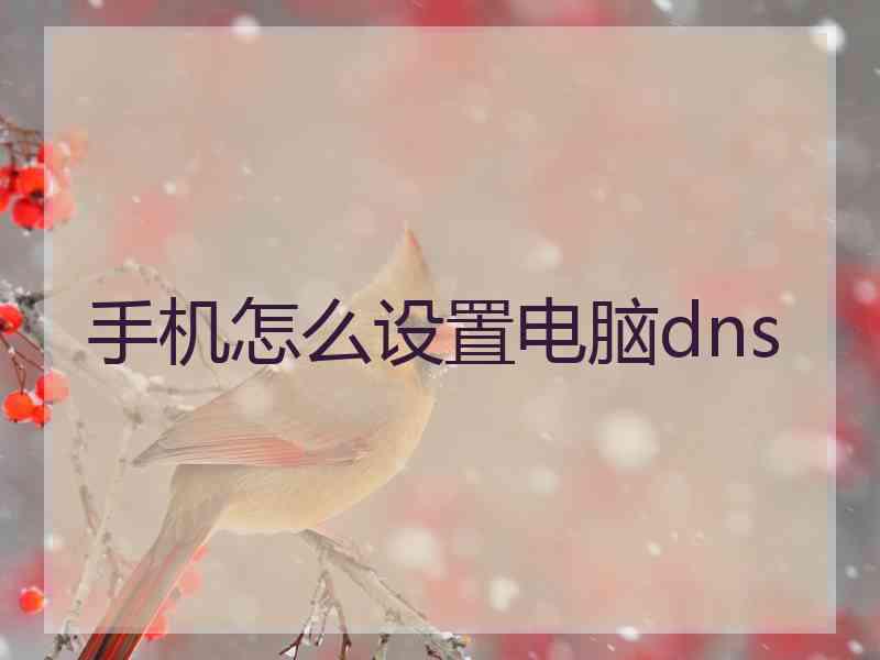 手机怎么设置电脑dns