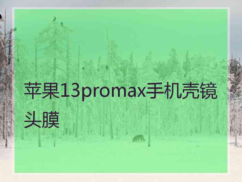 苹果13promax手机壳镜头膜