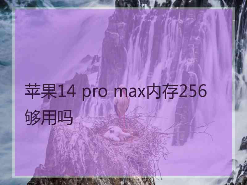 苹果14 pro max内存256够用吗