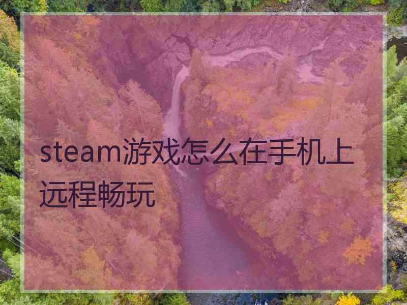 steam游戏怎么在手机上远程畅玩