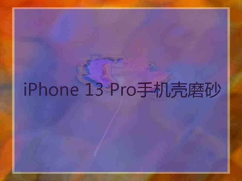 iPhone 13 Pro手机壳磨砂