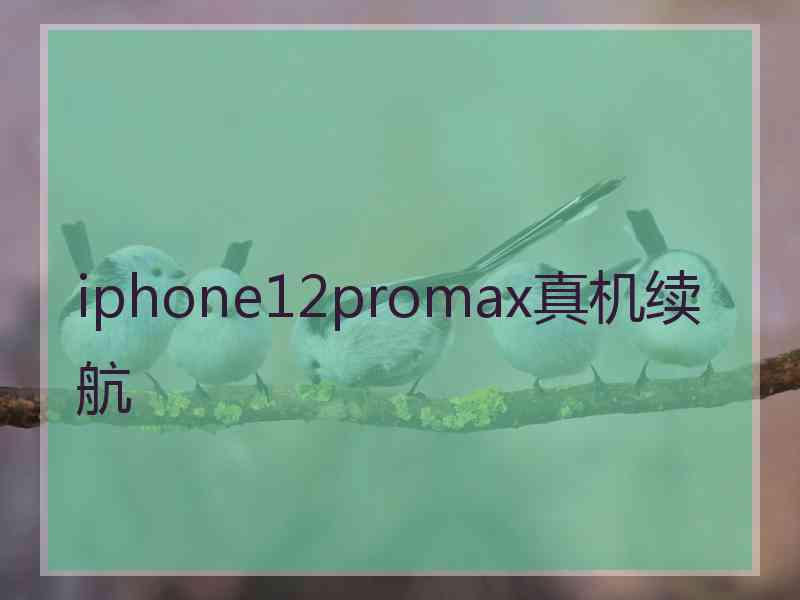 iphone12promax真机续航