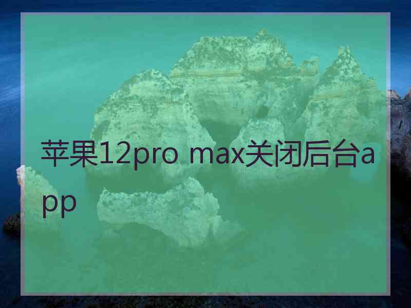 苹果12pro max关闭后台app