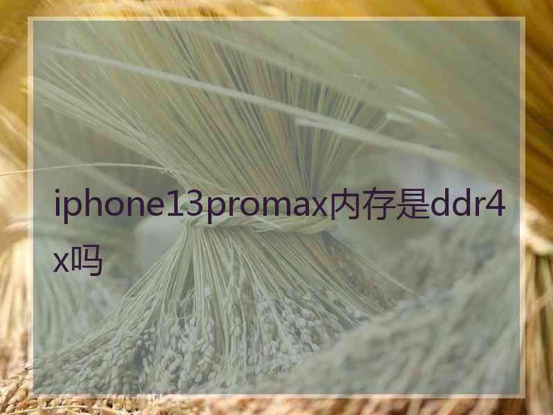 iphone13promax内存是ddr4x吗