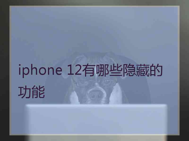 iphone 12有哪些隐藏的功能