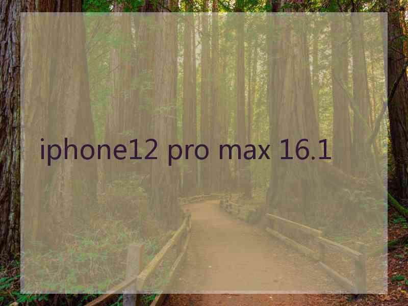 iphone12 pro max 16.1