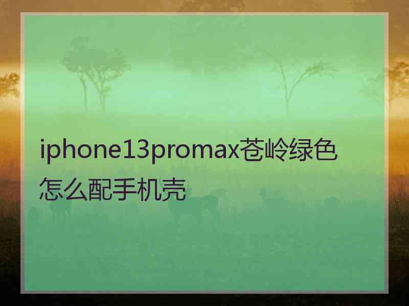 iphone13promax苍岭绿色怎么配手机壳