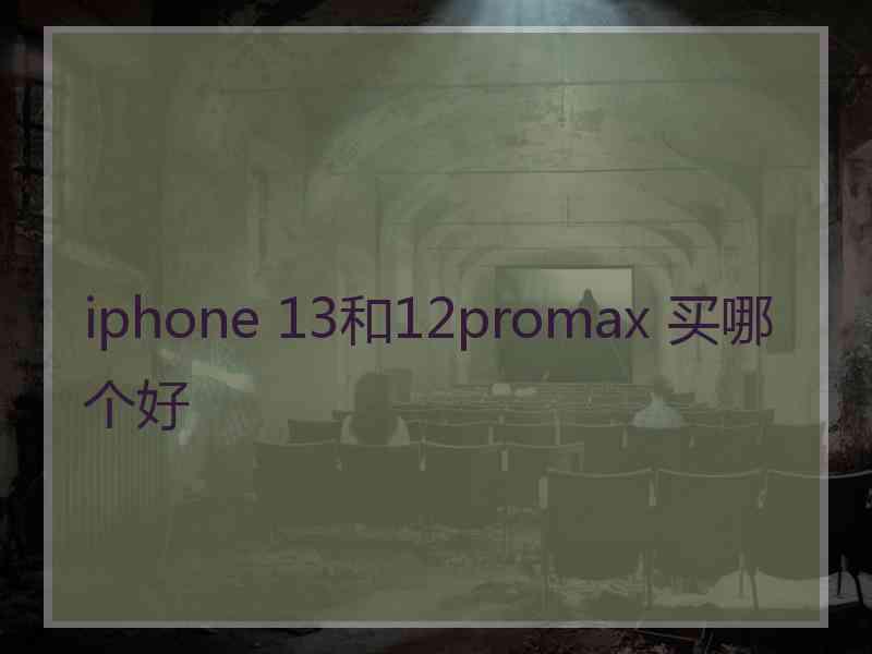 iphone 13和12promax 买哪个好