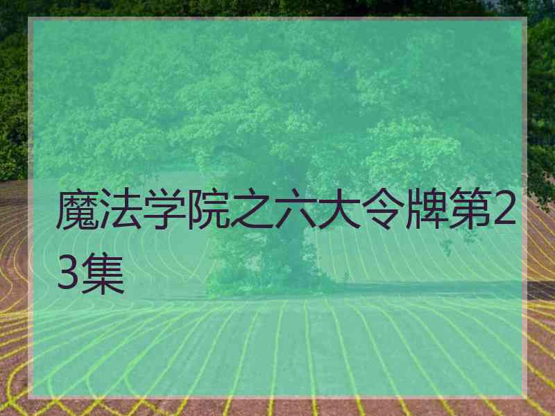 魔法学院之六大令牌第23集