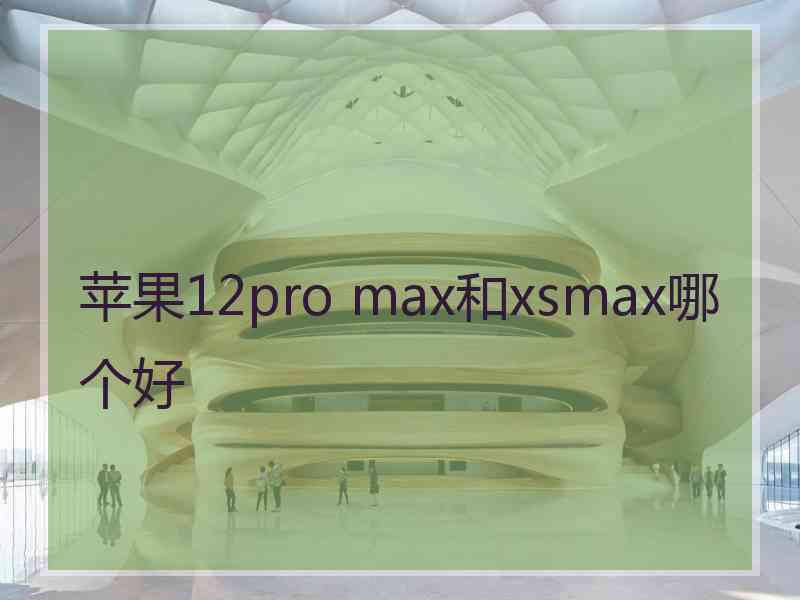 苹果12pro max和xsmax哪个好