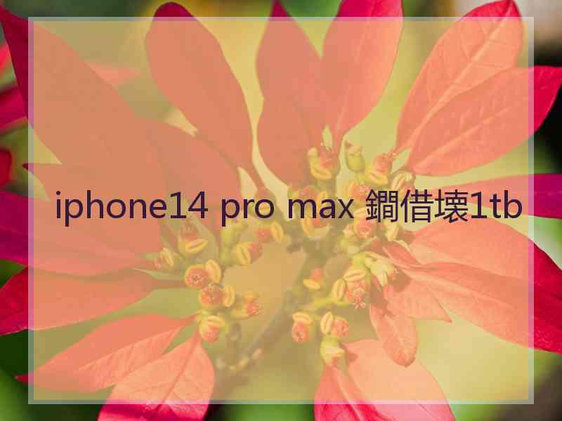 iphone14 pro max 鐧借壊1tb