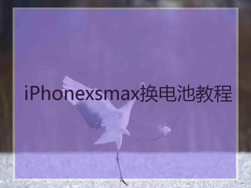 iPhonexsmax换电池教程