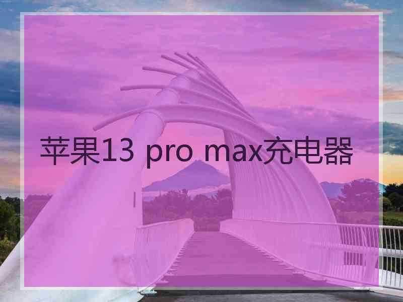 苹果13 pro max充电器