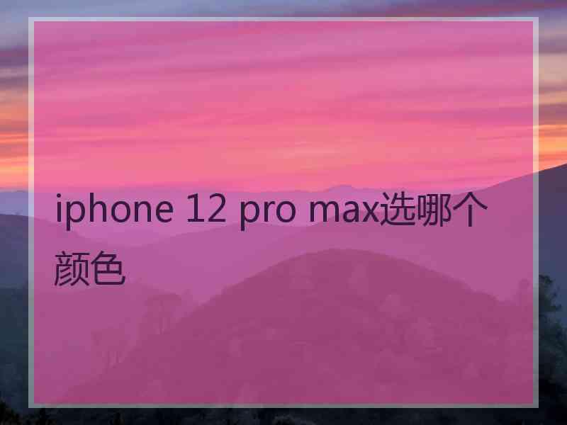 iphone 12 pro max选哪个颜色