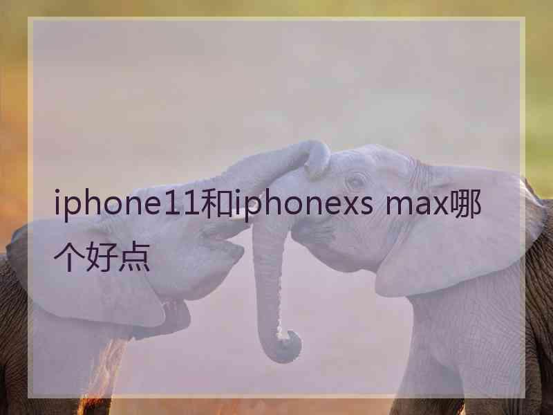 iphone11和iphonexs max哪个好点