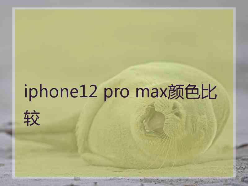 iphone12 pro max颜色比较