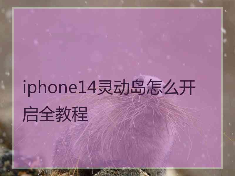 iphone14灵动岛怎么开启全教程