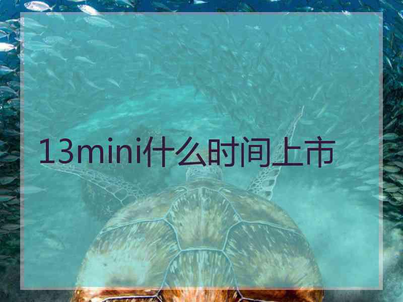 13mini什么时间上市