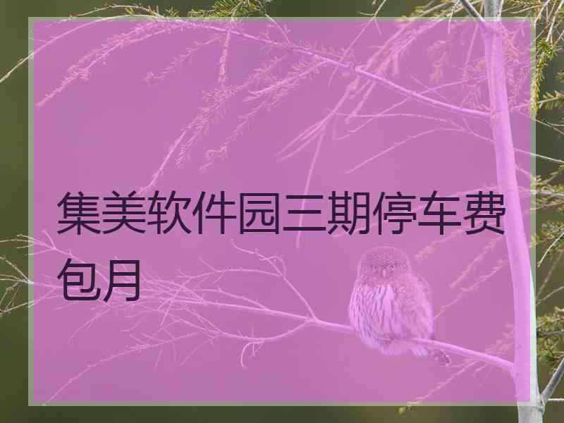 集美软件园三期停车费包月