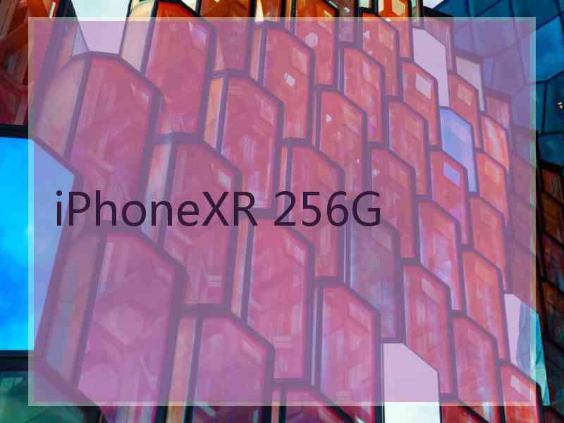 iPhoneXR 256G