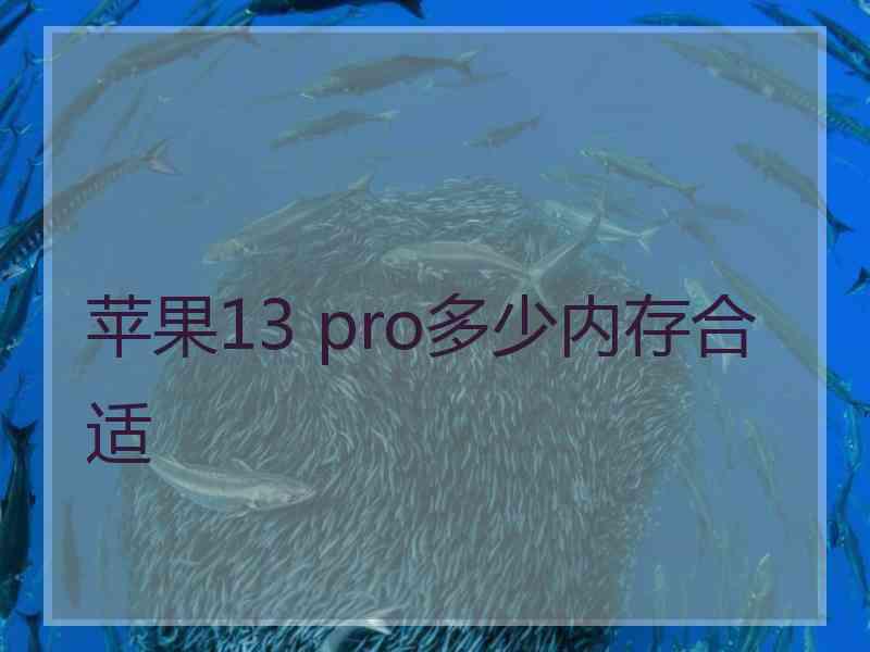 苹果13 pro多少内存合适