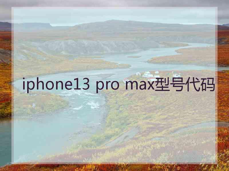 iphone13 pro max型号代码