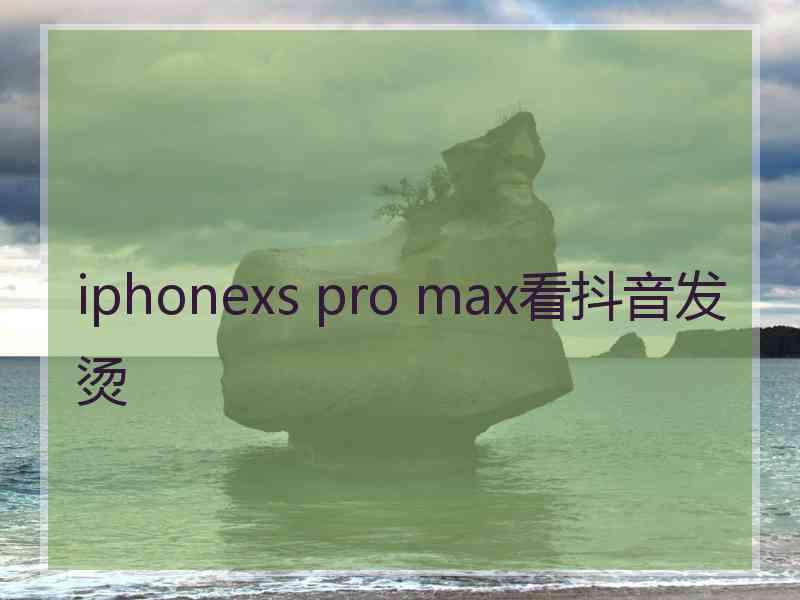 iphonexs pro max看抖音发烫