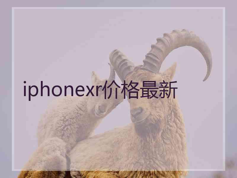 iphonexr价格最新