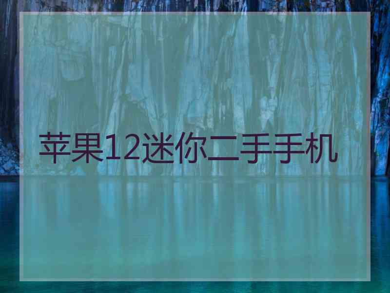 苹果12迷你二手手机