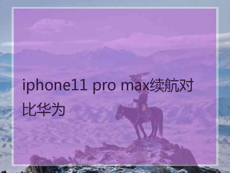 iphone11 pro max续航对比华为