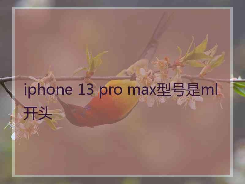 iphone 13 pro max型号是ml开头