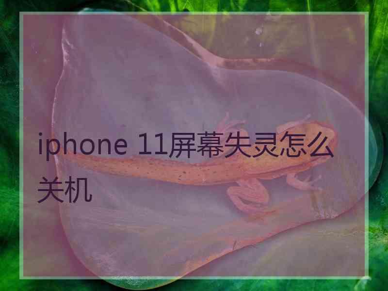 iphone 11屏幕失灵怎么关机