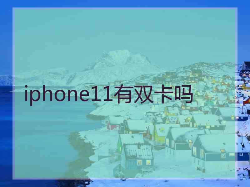 iphone11有双卡吗