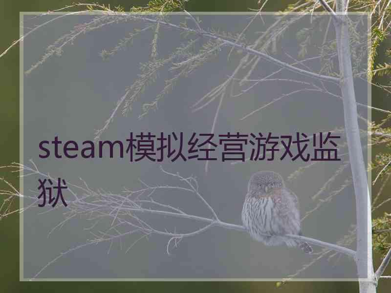 steam模拟经营游戏监狱