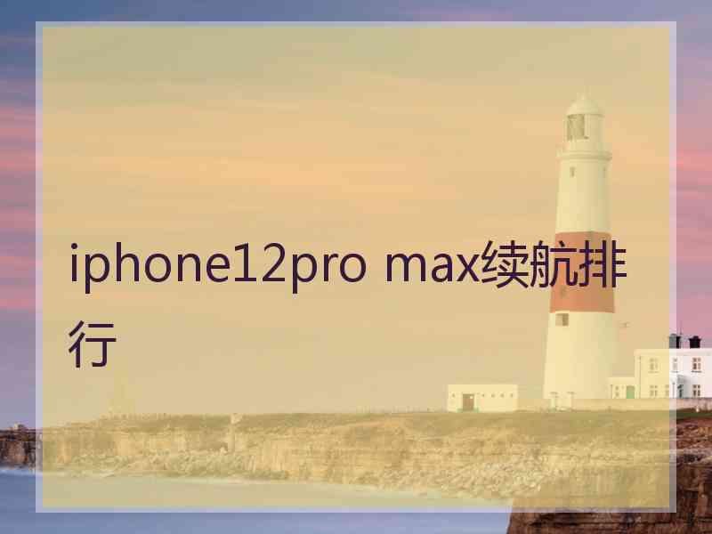 iphone12pro max续航排行