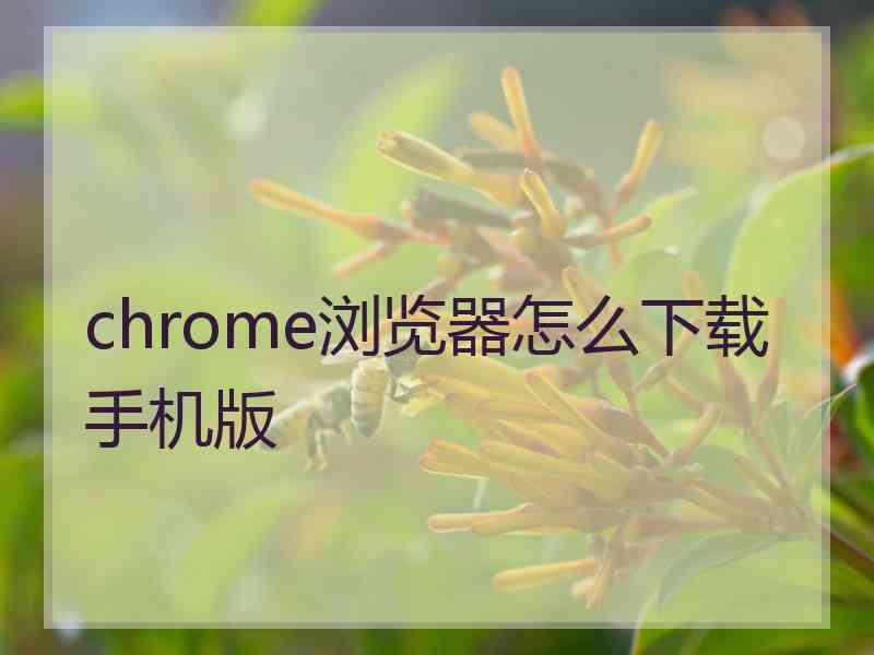 chrome浏览器怎么下载手机版