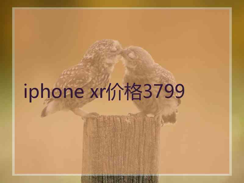 iphone xr价格3799