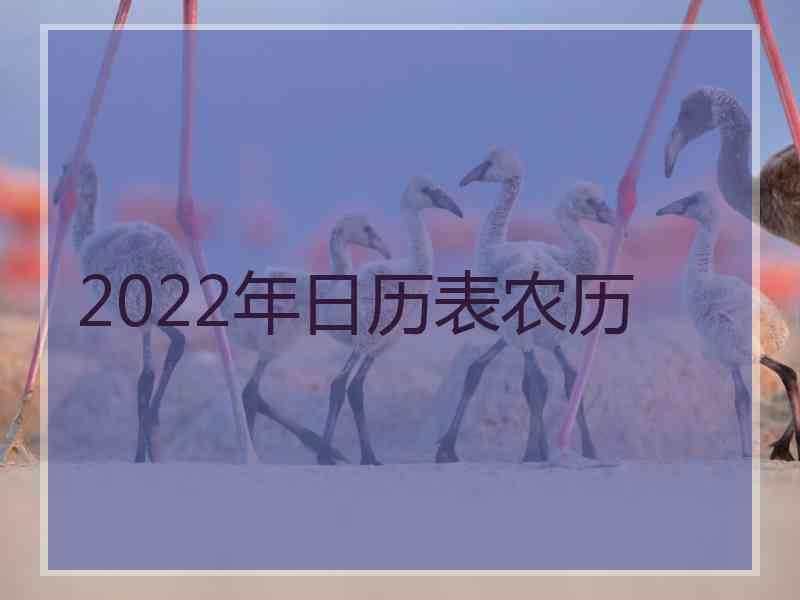 2022年日历表农历