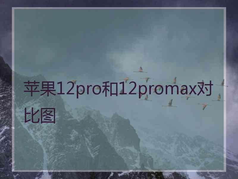 苹果12pro和12promax对比图