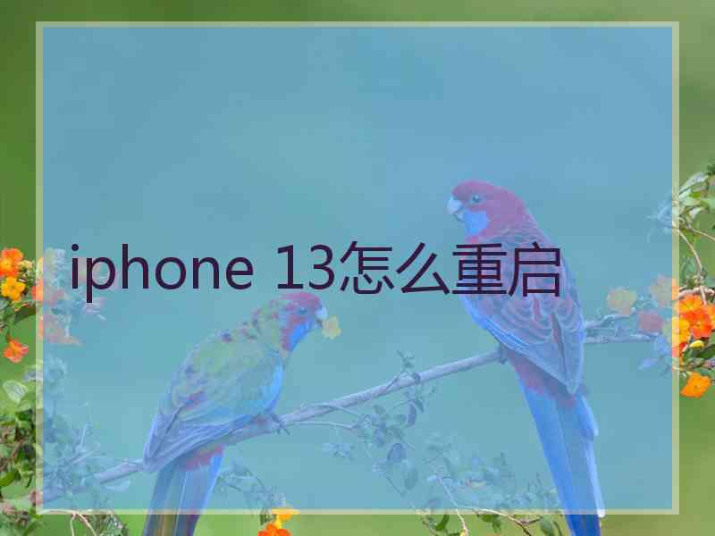 iphone 13怎么重启