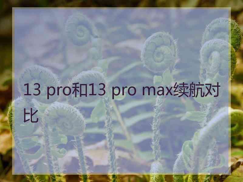 13 pro和13 pro max续航对比