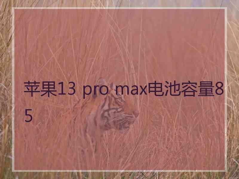 苹果13 pro max电池容量85