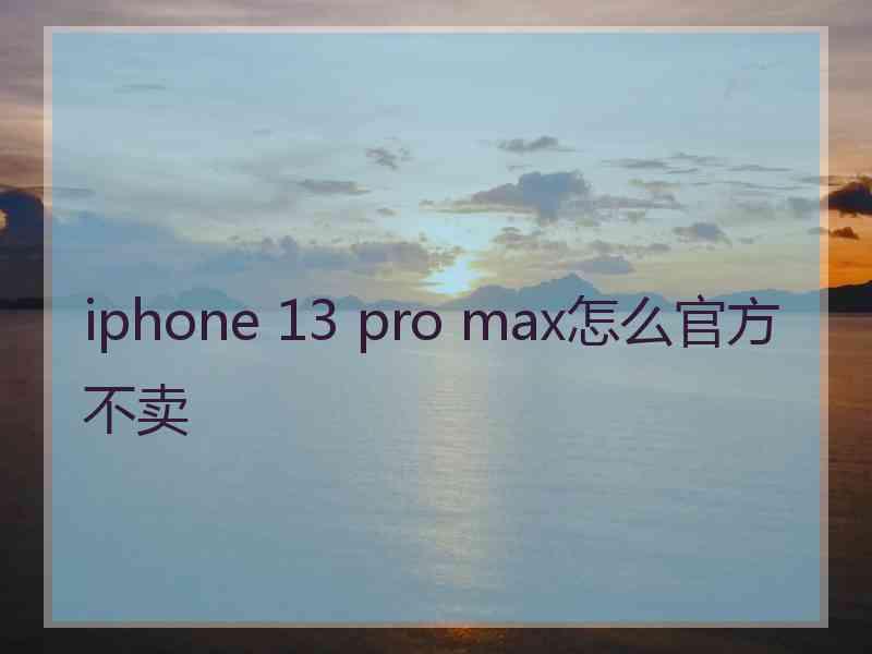 iphone 13 pro max怎么官方不卖