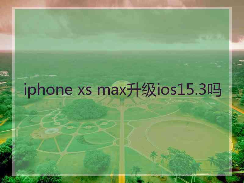 iphone xs max升级ios15.3吗